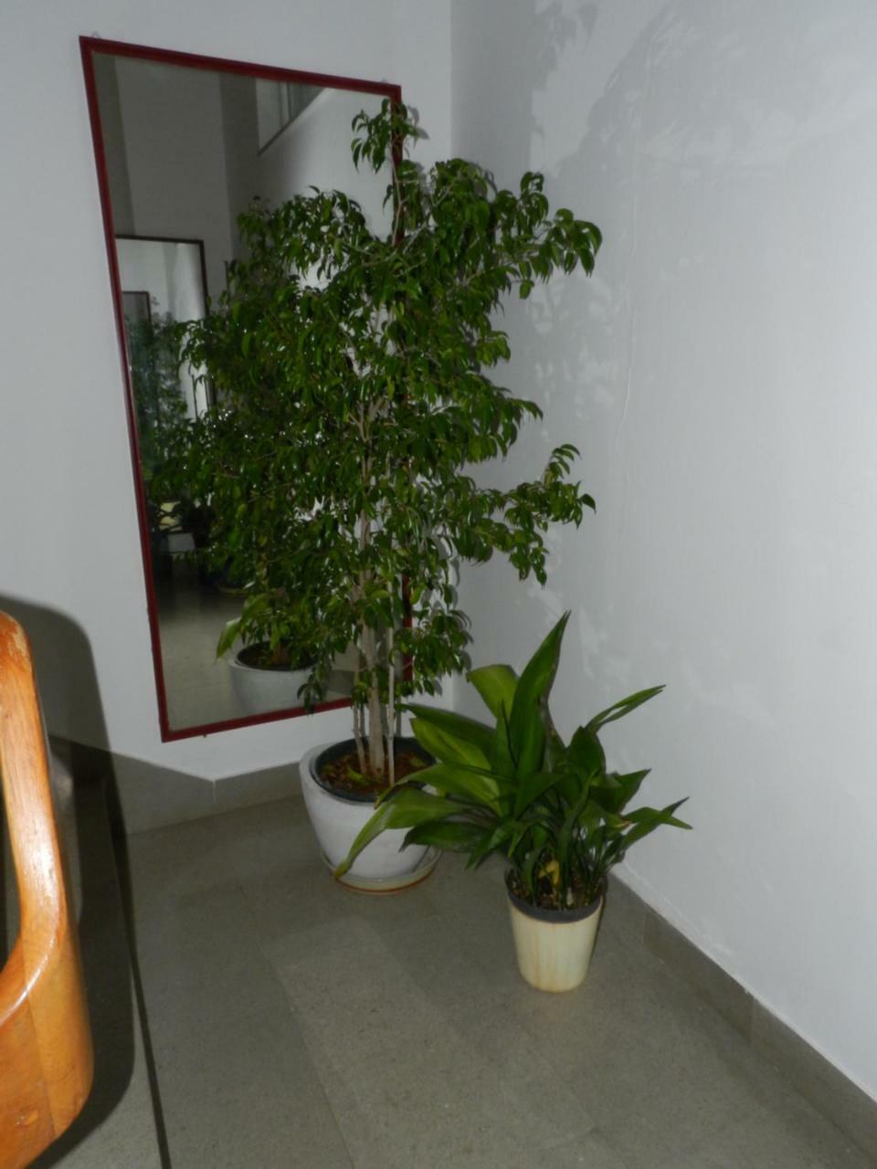 Levak Apartments - Apt. 1 Pjescana Uvala Bagian luar foto